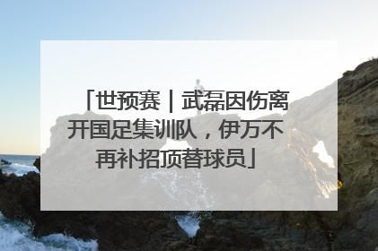 世预赛｜武磊因伤离开国足集训队，伊万不再补招顶替球员