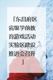 东昌府区省级学前教育游戏活动实验区建设推进会召开