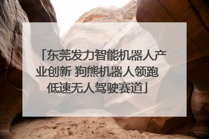 东莞发力智能机器人产业创新 狗熊机器人领跑低速无人驾驶赛道