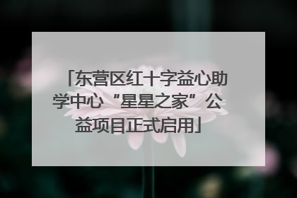 东营区红十字益心助学中心“星星之家”公益项目正式启用