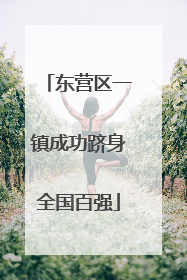 东营区一镇成功跻身全国百强
