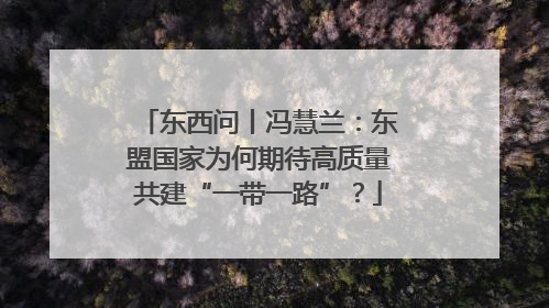 东西问丨冯慧兰：东盟国家为何期待高质量共建“一带一路”？