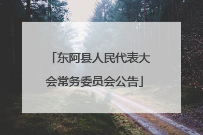 东阿县人民代表大会常务委员会公告