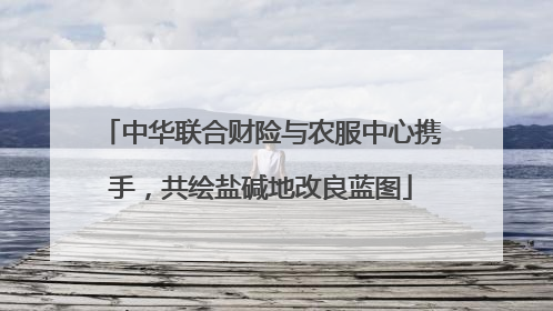 中华联合财险与农服中心携手，共绘盐碱地改良蓝图
