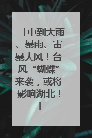 中到大雨、暴雨、雷暴大风！台风“蝴蝶”来袭，或将影响湖北！