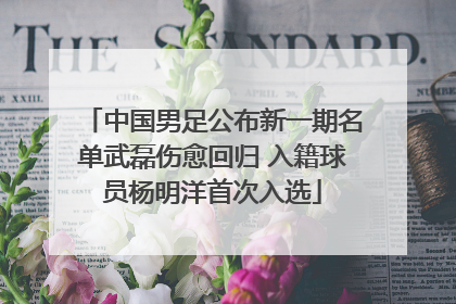 中国男足公布新一期名单武磊伤愈回归 入籍球员杨明洋首次入选