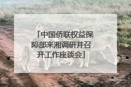 中国侨联权益保障部来湘调研并召开工作座谈会