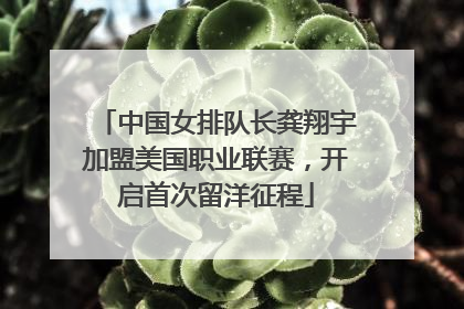 中国女排队长龚翔宇加盟美国职业联赛，开启首次留洋征程