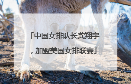 中国女排队长龚翔宇，加盟美国女排联赛
