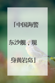中国海警东沙舰，现身黄岩岛