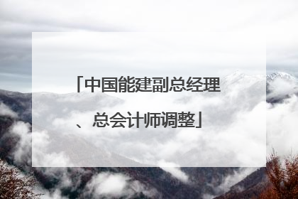 中国能建副总经理、总会计师调整