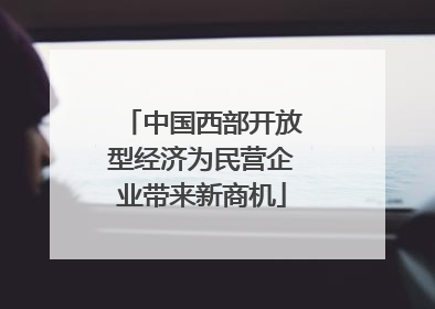 中国西部开放型经济为民营企业带来新商机
