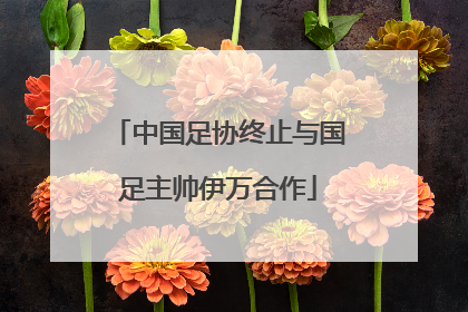 中国足协终止与国足主帅伊万合作