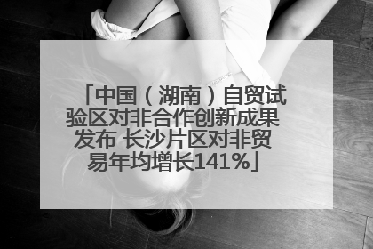 中国（湖南）自贸试验区对非合作创新成果发布 长沙片区对非贸易年均增长141%