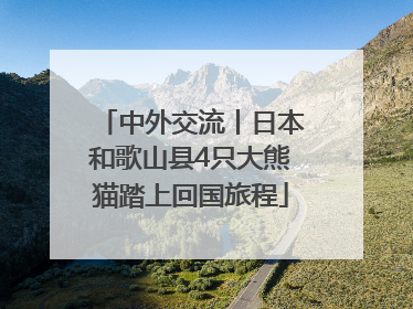 中外交流丨日本和歌山县4只大熊猫踏上回国旅程
