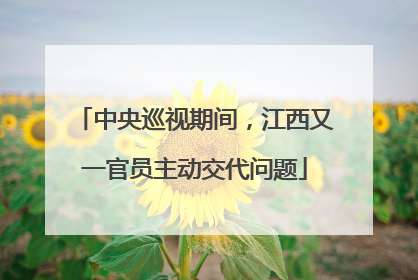 中央巡视期间，江西又一官员主动交代问题