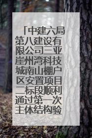 中建六局第八建设有限公司三亚崖州湾科技城南山棚户区安置项目二标段顺利通过第一次主体结构验收