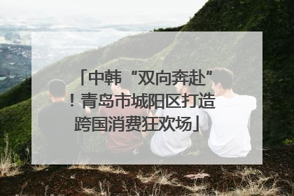 中韩“双向奔赴”！青岛市城阳区打造跨国消费狂欢场