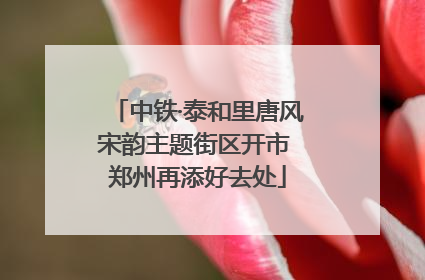 中铁·泰和里唐风宋韵主题街区开市 郑州再添好去处