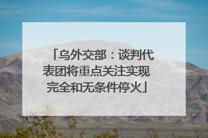 乌外交部：谈判代表团将重点关注实现完全和无条件停火