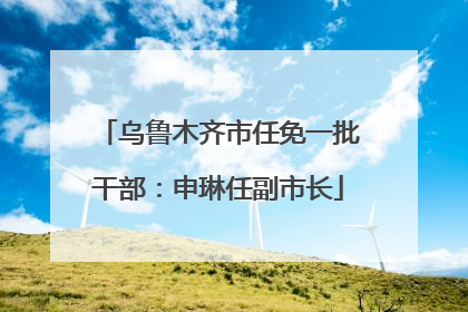 乌鲁木齐市任免一批干部：申琳任副市长
