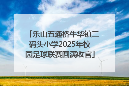 乐山五通桥牛华镇二码头小学2025年校园足球联赛圆满收官