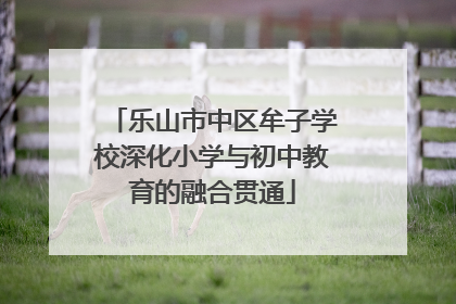 乐山市中区牟子学校深化小学与初中教育的融合贯通