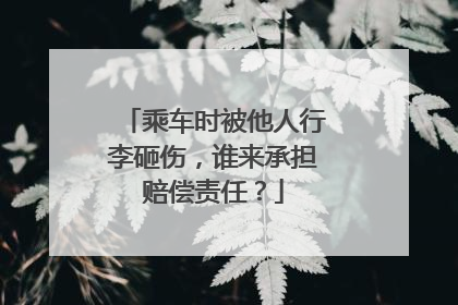 乘车时被他人行李砸伤，谁来承担赔偿责任？