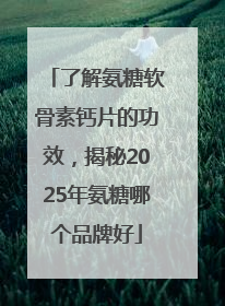 了解氨糖软骨素钙片的功效，揭秘2025年氨糖哪个品牌好