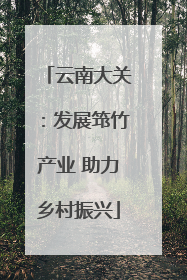 云南大关：发展筇竹产业 助力乡村振兴