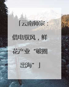 云南师宗：借电驭风，鲜花产业“破圈出海”
