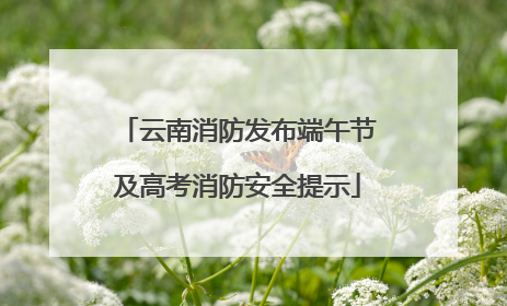 云南消防发布端午节及高考消防安全提示