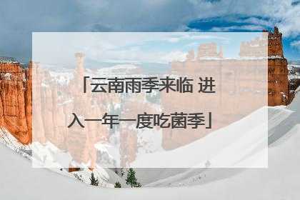 云南雨季来临 进入一年一度吃菌季