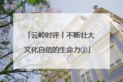 云岭时评丨不断壮大文化自信的生命力②