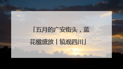 五月的广安街头，蓝花楹盛放丨镜观四川