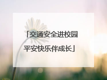 交通安全进校园 平安快乐伴成长