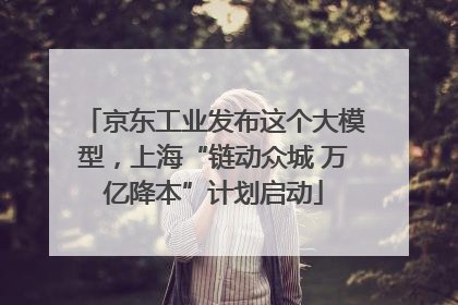 京东工业发布这个大模型，上海“链动众城 万亿降本”计划启动