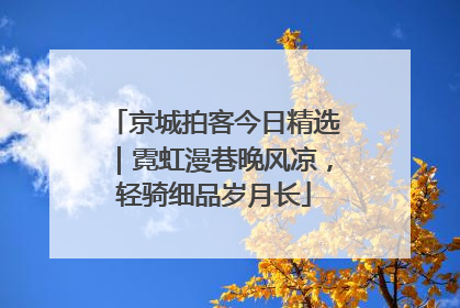 京城拍客今日精选｜霓虹漫巷晚风凉，轻骑细品岁月长