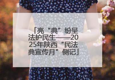 亮“典”纷呈 法护民生——2025年陕西“民法典宣传月”侧记