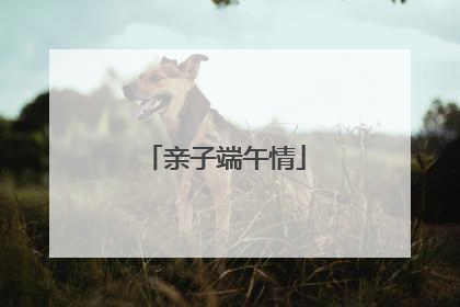 亲子端午情