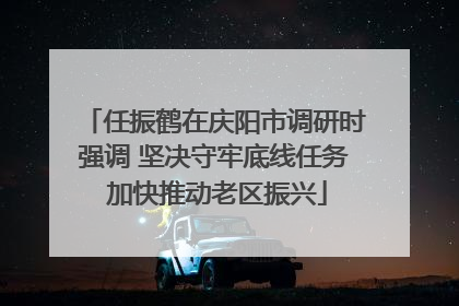 任振鹤在庆阳市调研时强调 坚决守牢底线任务 加快推动老区振兴
