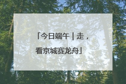 今日端午｜走，看京城赛龙舟