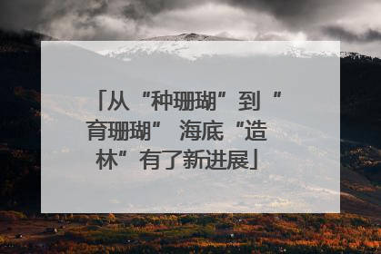 从“种珊瑚”到“育珊瑚” 海底“造林”有了新进展