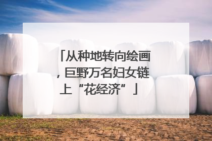 从种地转向绘画，巨野万名妇女链上“花经济”