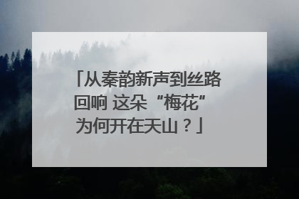 从秦韵新声到丝路回响 这朵“梅花”为何开在天山？