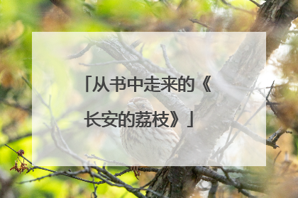 从书中走来的《长安的荔枝》
