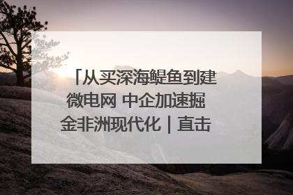 从买深海鳀鱼到建微电网 中企加速掘金非洲现代化｜直击中非经贸博览会