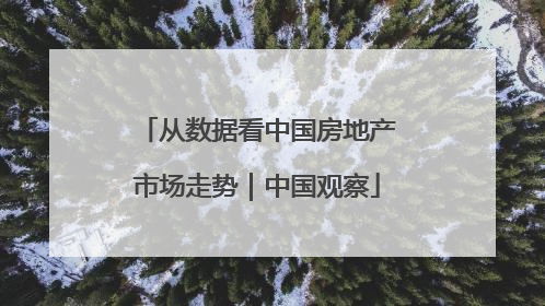 从数据看中国房地产市场走势｜中国观察