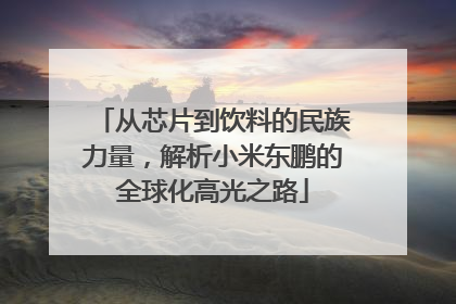 从芯片到饮料的民族力量，解析小米东鹏的全球化高光之路