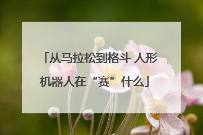 从马拉松到格斗 人形机器人在“赛”什么